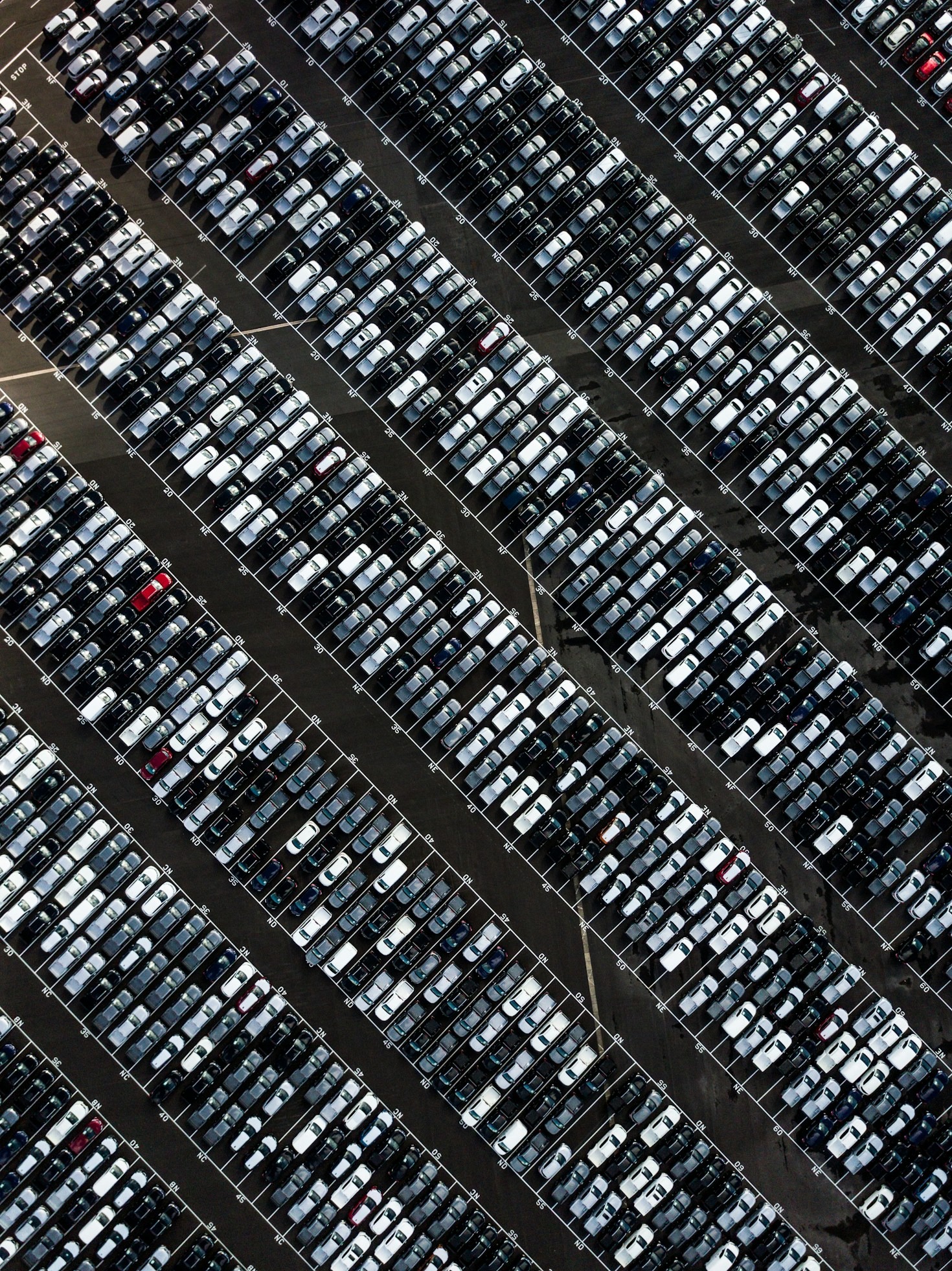 Korzyści z integracji rezerwacji parkingu z Woocommerce